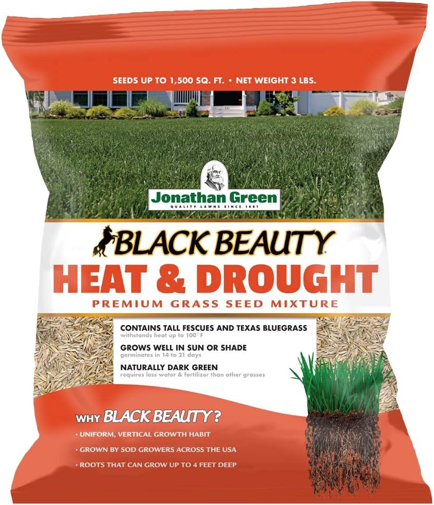 Jonathan Green vs. Black Beauty Tested: Heat-Resistant Lawn Seed Showdown… Choose Wisely!