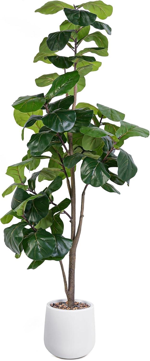 Surprising Fiddle Leaf vs. Faux: Tested Home Decor Win