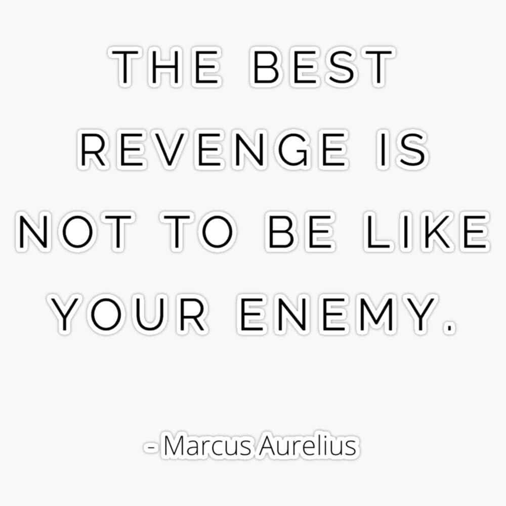 Stoic Revenge Compared: Vinyl Quote Showdown
