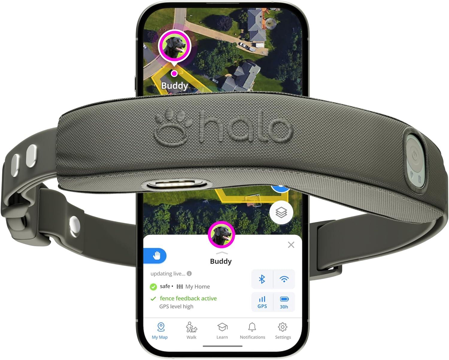 GPS Collar Test Showdown: Versatile Wireless Training, Surprising Ease