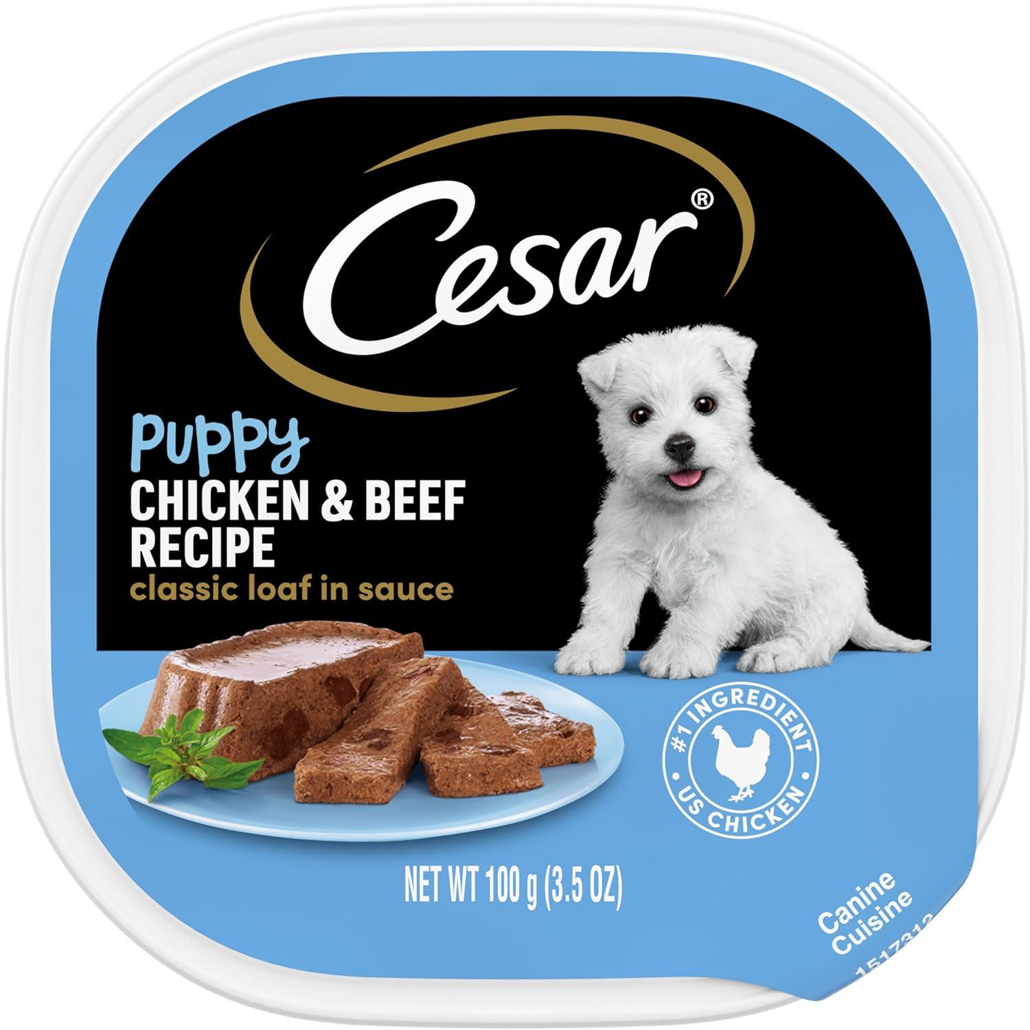 CESAR vs IAMS Puppy Food Showdown: Tested Benefits Inside