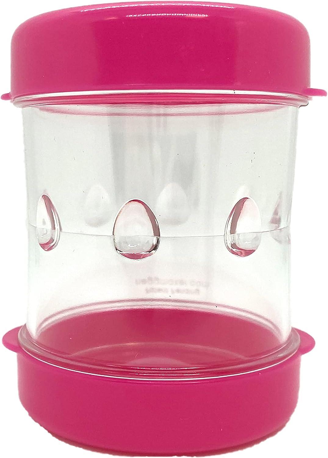 Rapid Egg Cooker Showdown: Test These Fast Kitchen Gadgets