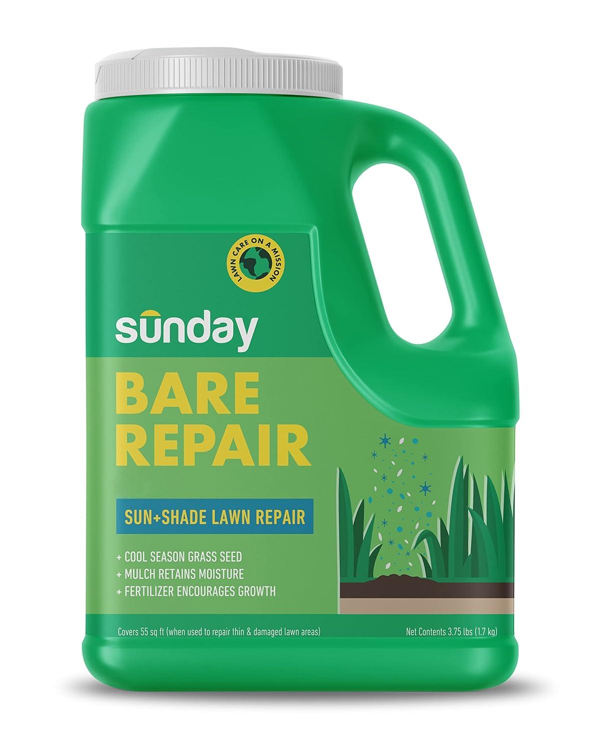 Shade vs Sun: Tested Grass Seed for Quick Patch Repair...Lawn Care Showdown!