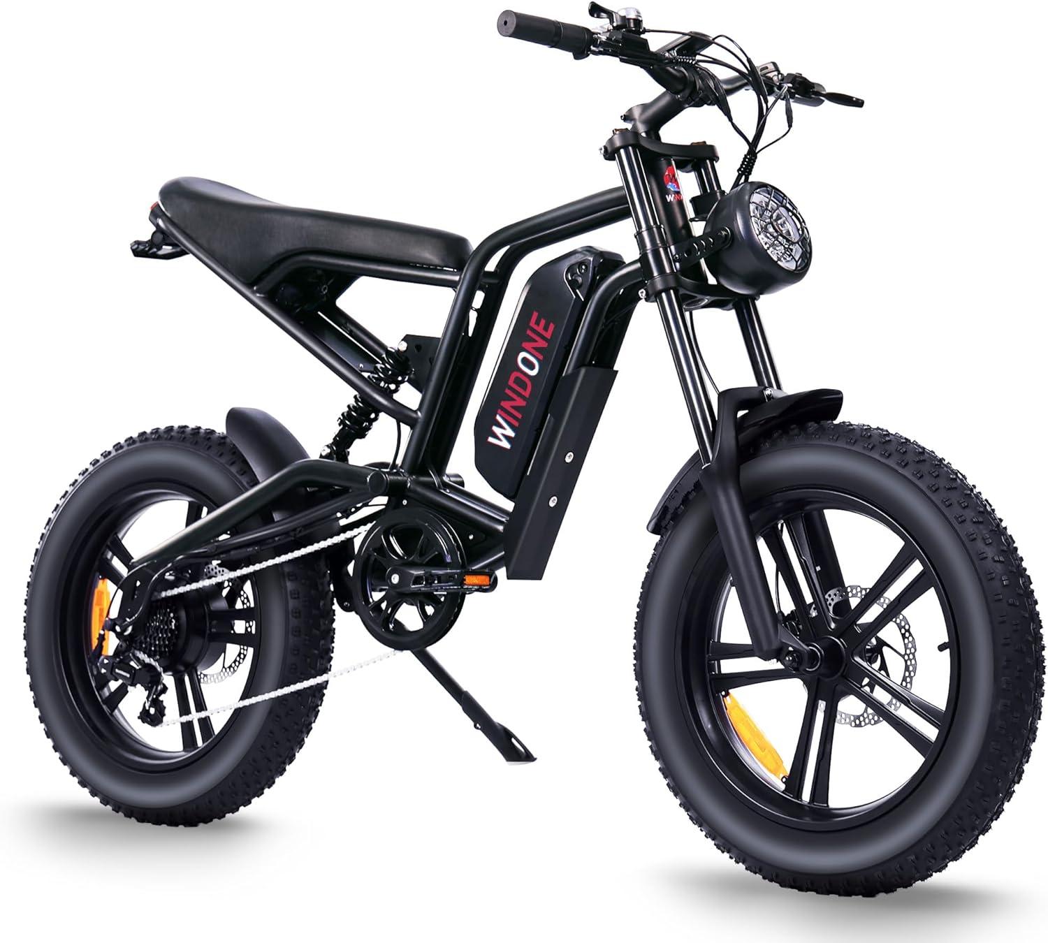 Electric Bike showdown: PAS, 750W, and fat tires—compared!