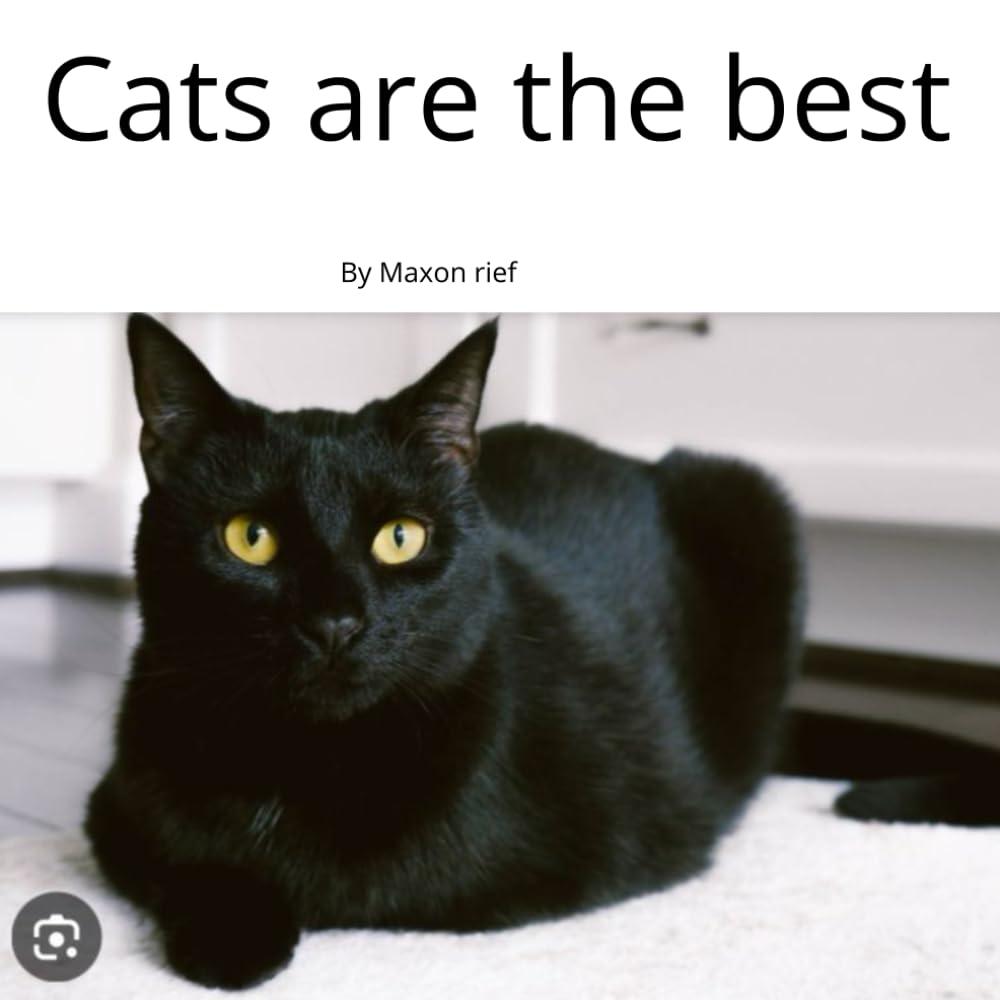 Cats Best Showdown: Meow Versus Woof, Tested With Furry Insights