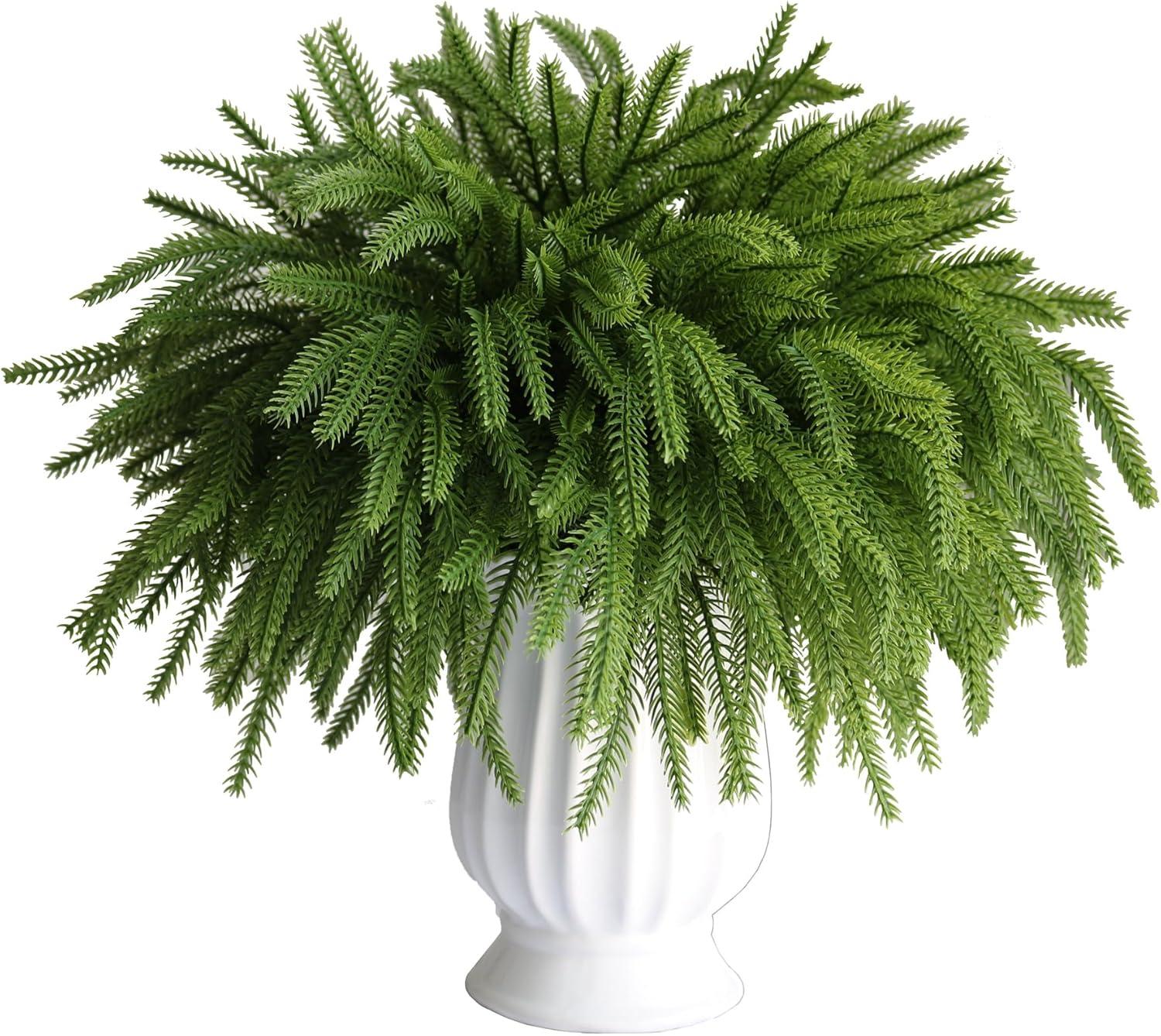 50PCS Norfolk Pine Tested: Surprising Value for Christmas DIY