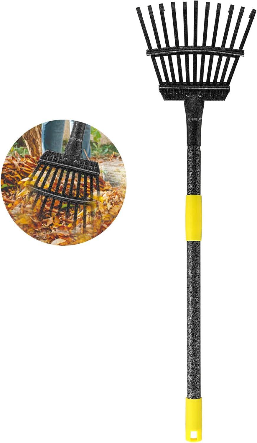 Lawn Border vs. Cordless Blower: Tested for Flexibility