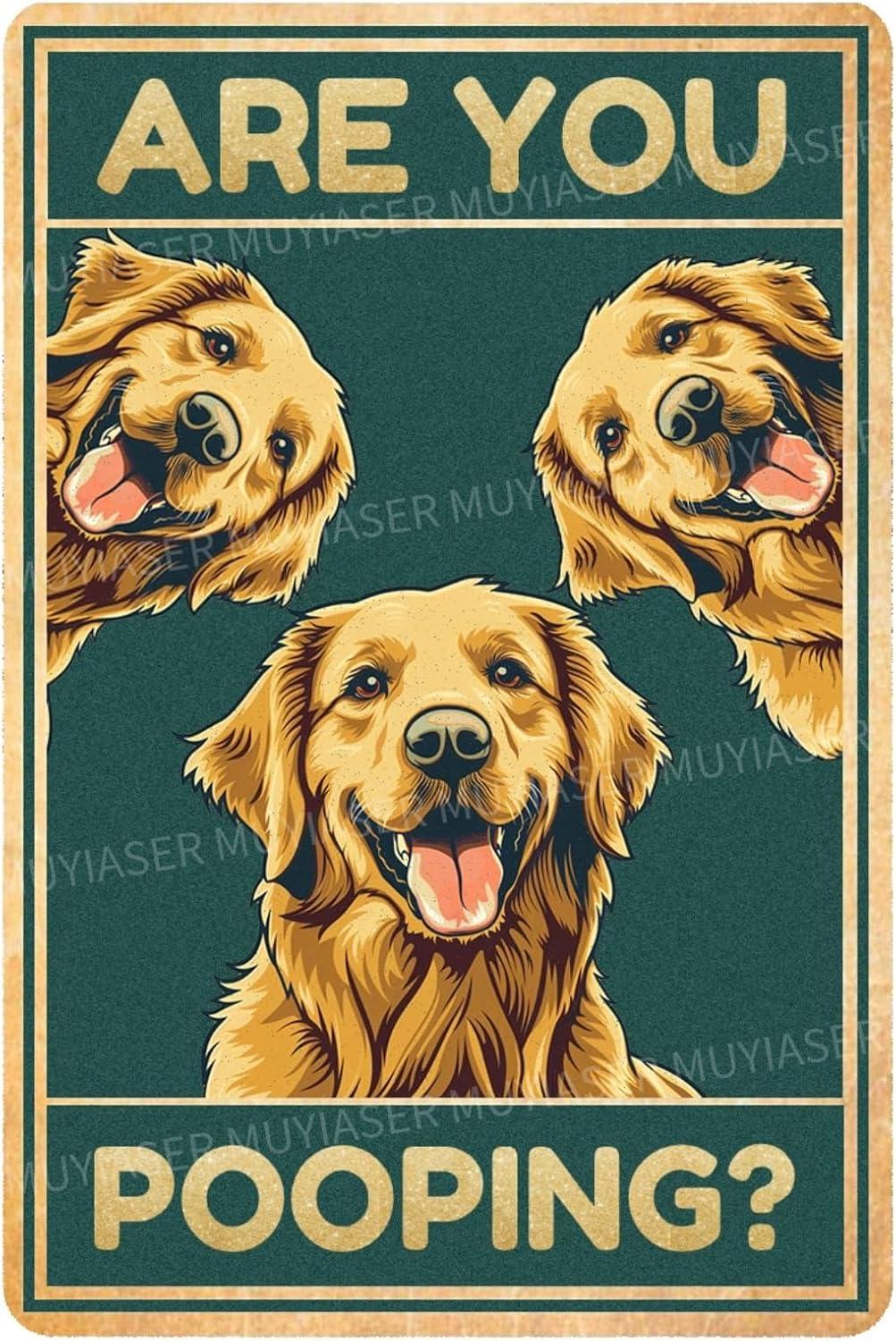 Surprising Dog Decor Tested: Signs & Earrings!