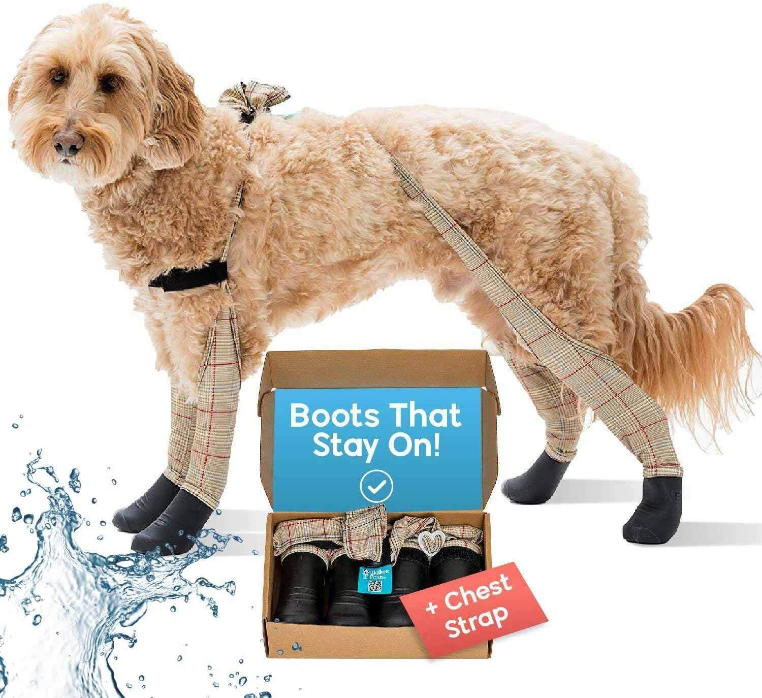 Waterproof Dog Boots Tested: Guard Paws from Heat & Rain