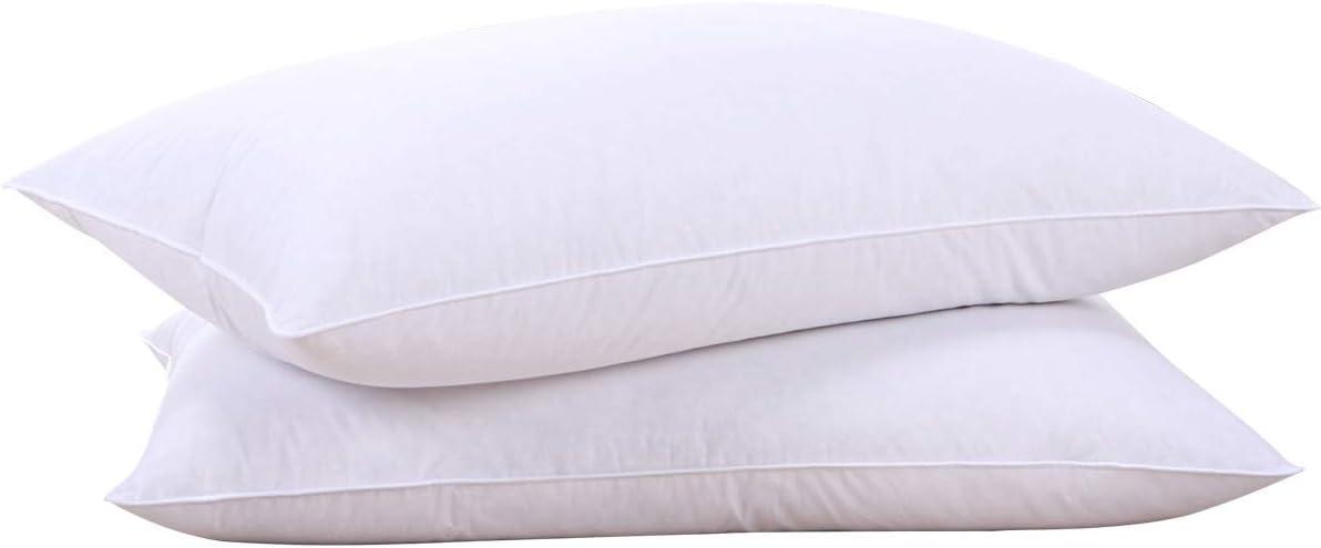 Goose Feathers & Down Showdown: 100% Cotton Cover Tested for Hotel-Quality Sleep?