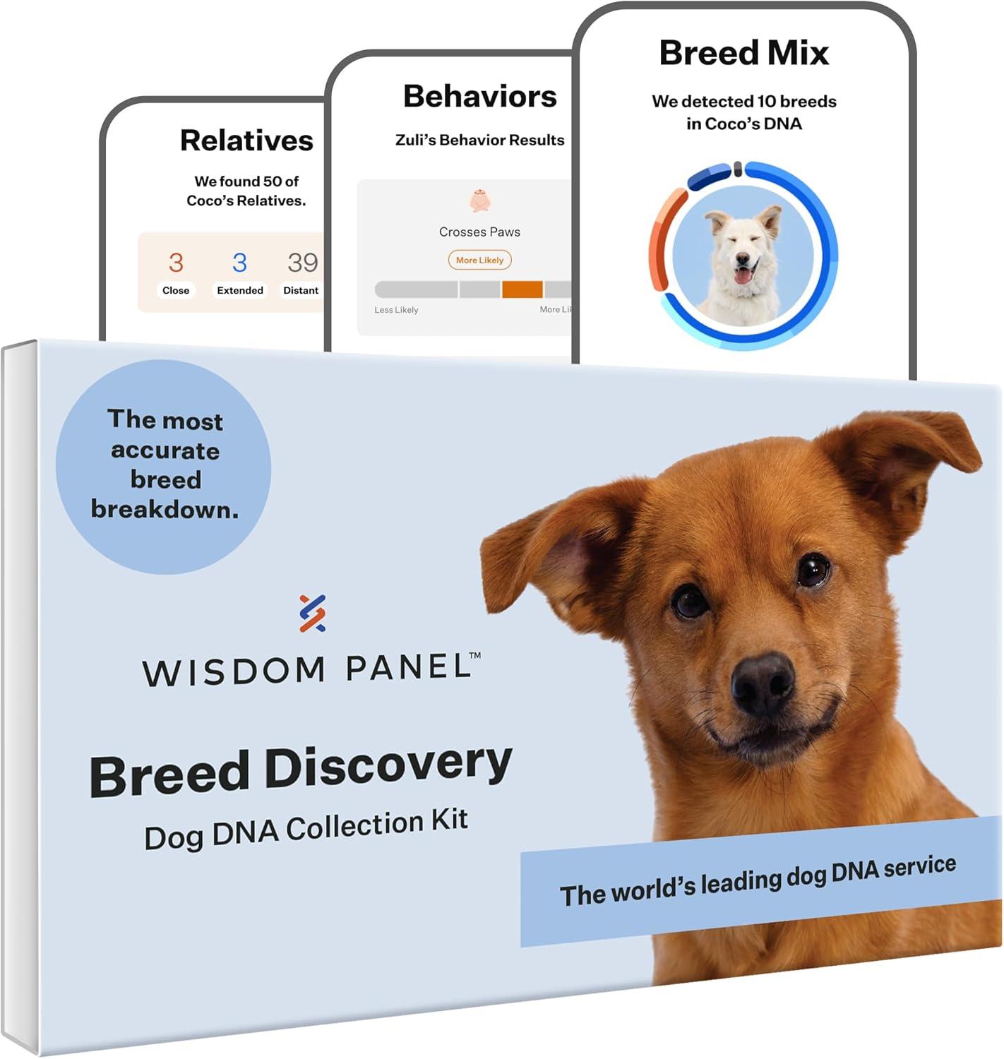 Versus: Wisdom Panel's 365+ Breed Test, MDR1 Health Screen, & Ancestry Vetting - Surprising Accuracy for Pet Parents