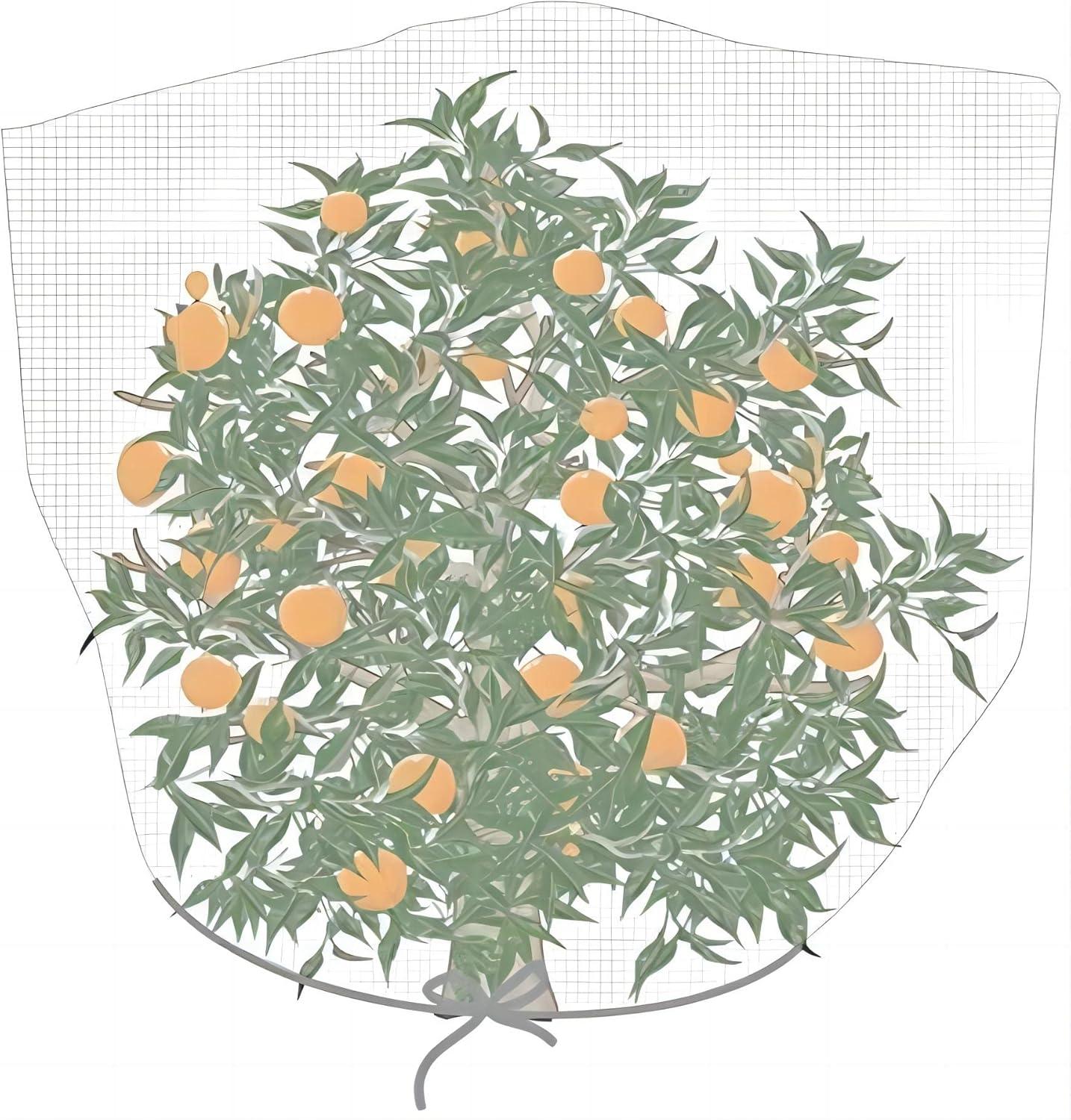 Gardening Netting Tested: Pest-Proof & Eco-Friendly for All Seasons