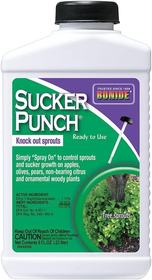 Gordon's Pre-Mixed Weed & Feed vs. Bonide's 6-Month Sucker Punch: Tested for Garden Control