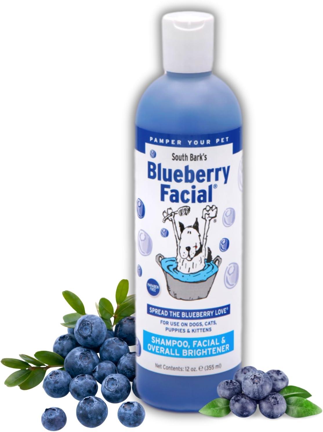 Shine VS Stains: Surprising Pet Clean Compare