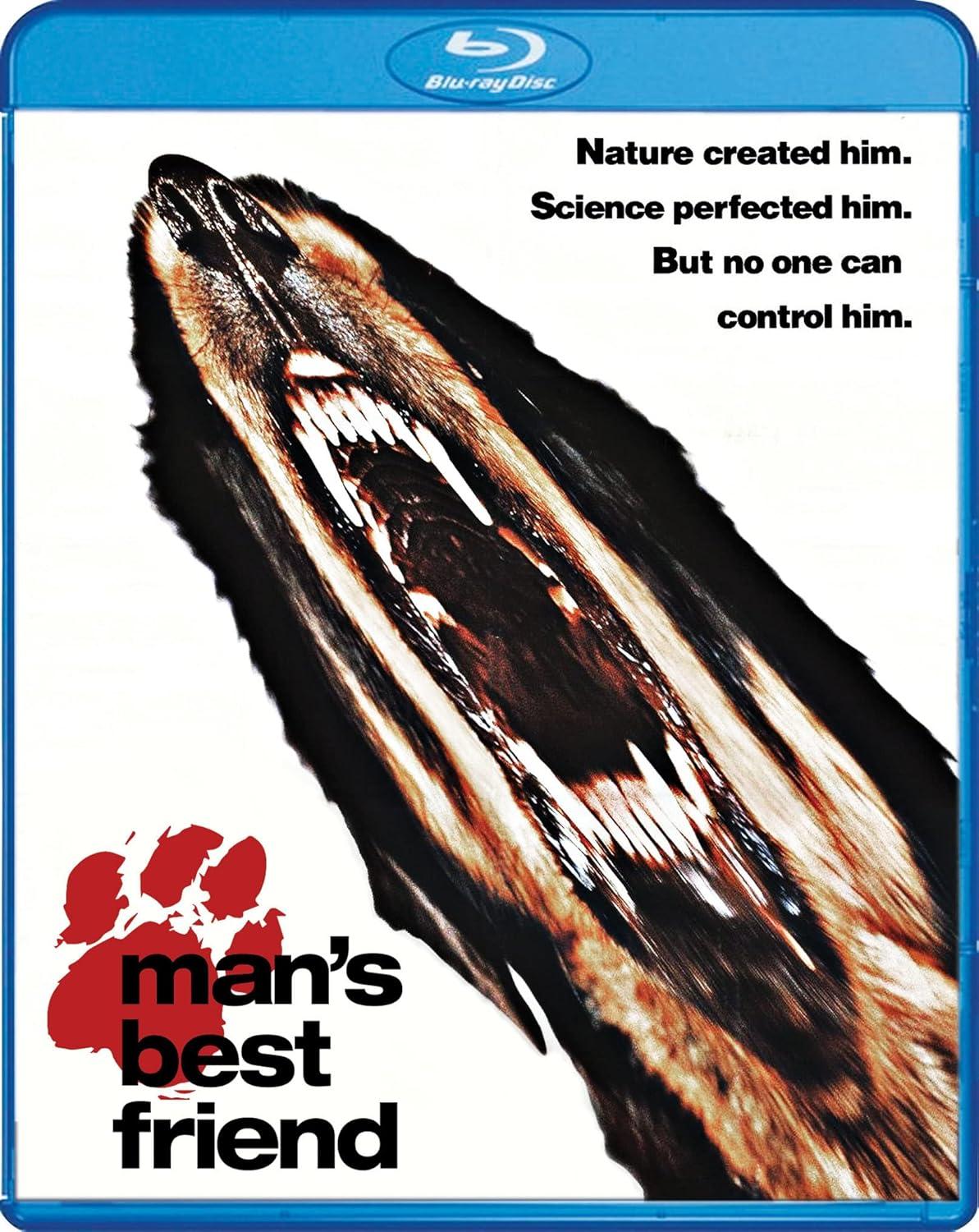 Man’s Best Friend: Canine Versus Feline—Joy & Clutter Compared... (Buying Hint Season)