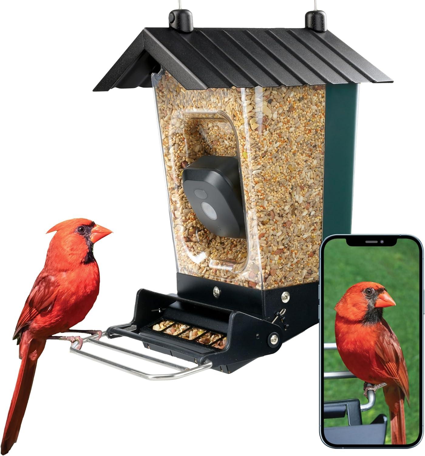 Perky-Pet Feeder Compared: Squirrel-Resist 1080p Wi-Fi... Surprising Insights!