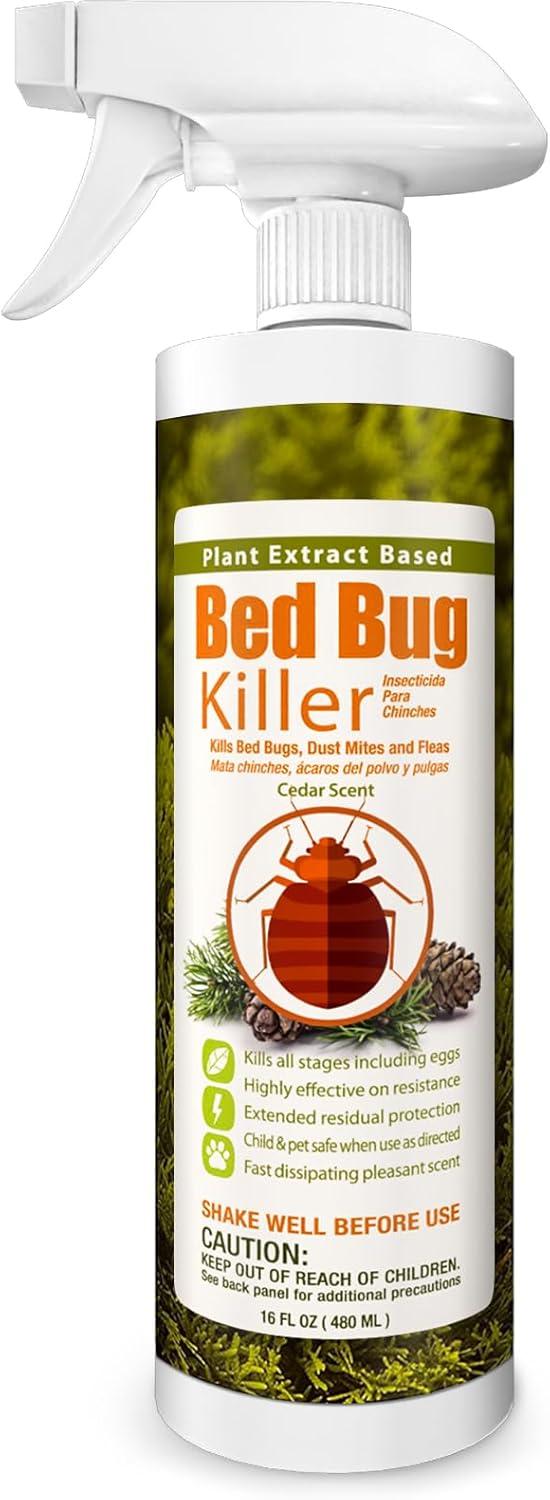 Surprising Comparison: EcoVenger Versus WowCatch…Bed Bugs vs Flies…Safe picks for now