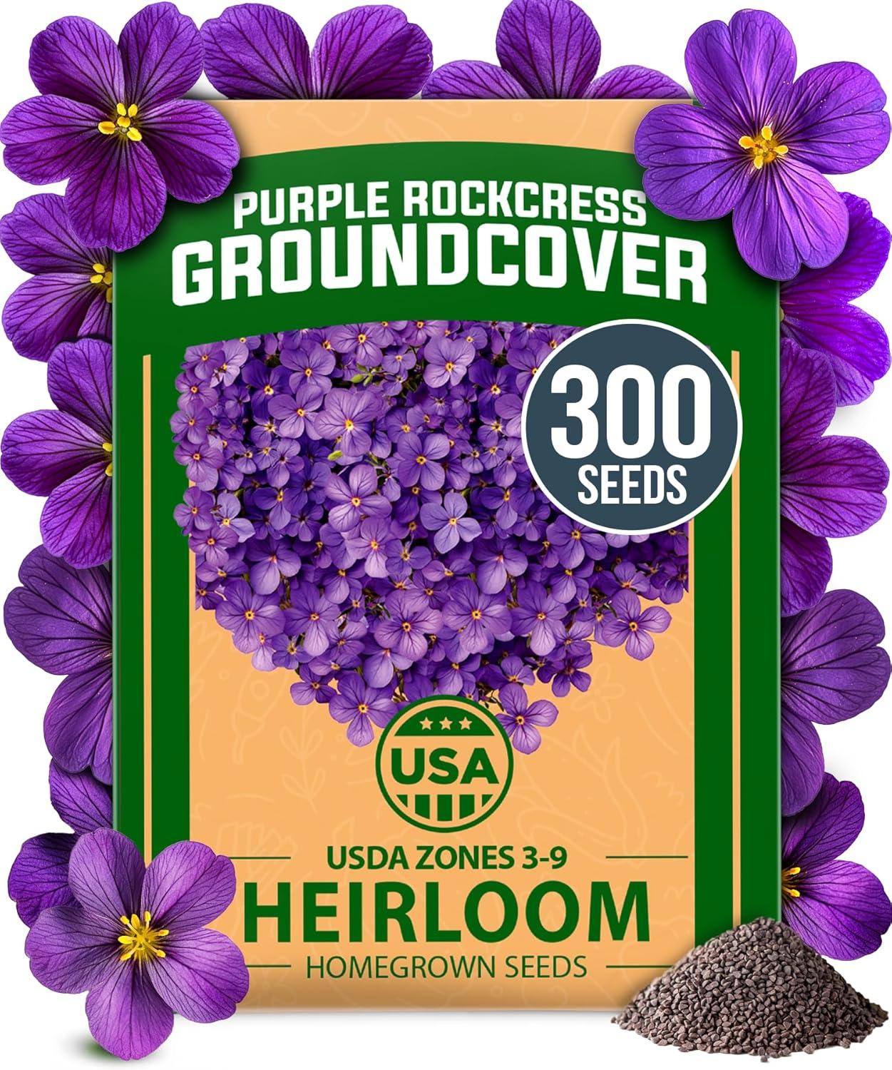 Compare Aubrieta Purple Perennial… Low-Maintenance Seed Test
