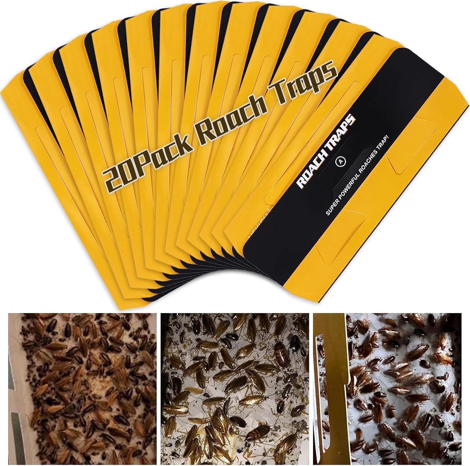 Surprising Results: Cockroach Trap Showdown Compared..._child safe_ indoor use!