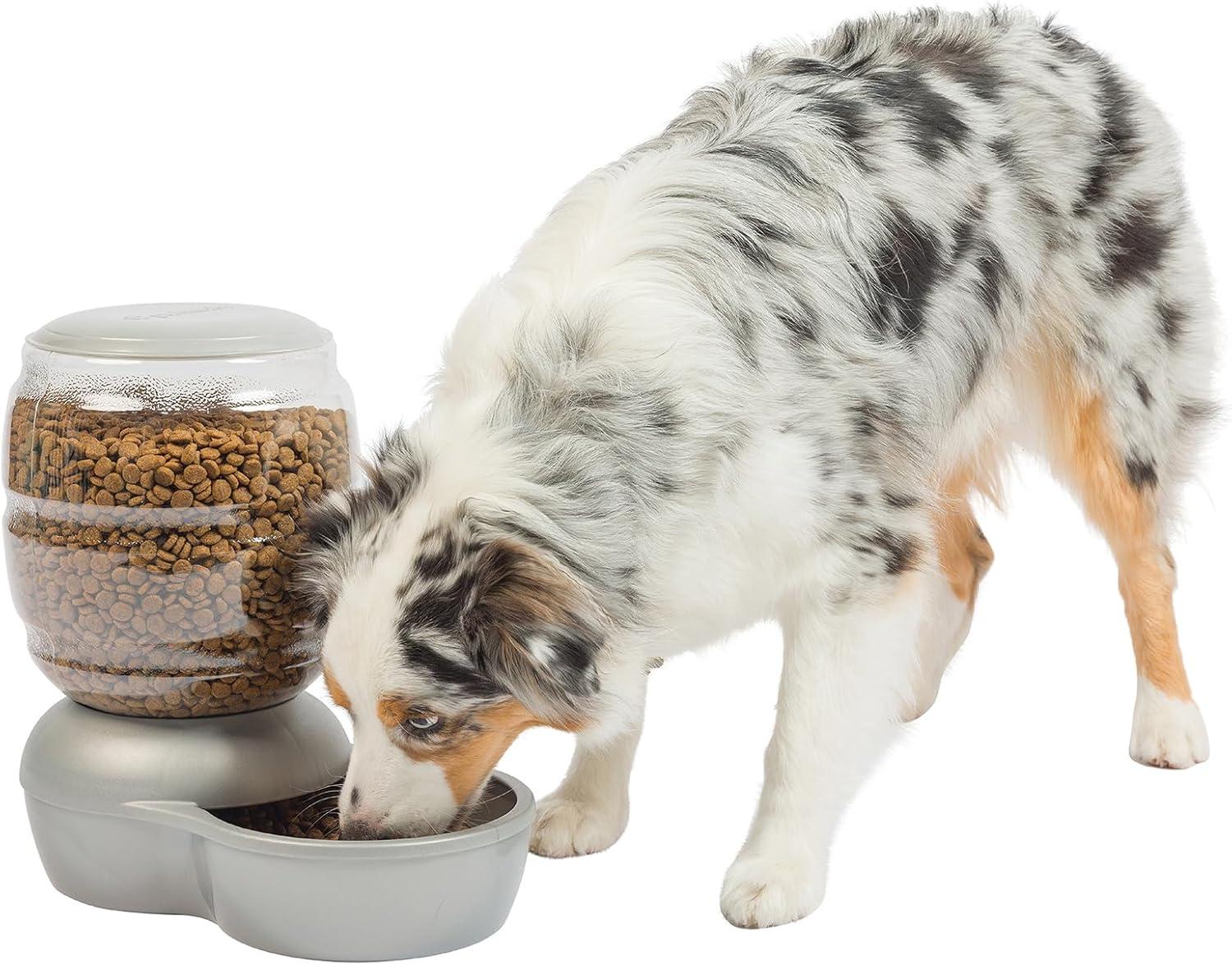 Petmate Replendish Pearl White vs. Budget Feeder: 10lb Tested, USA-Made Surprise