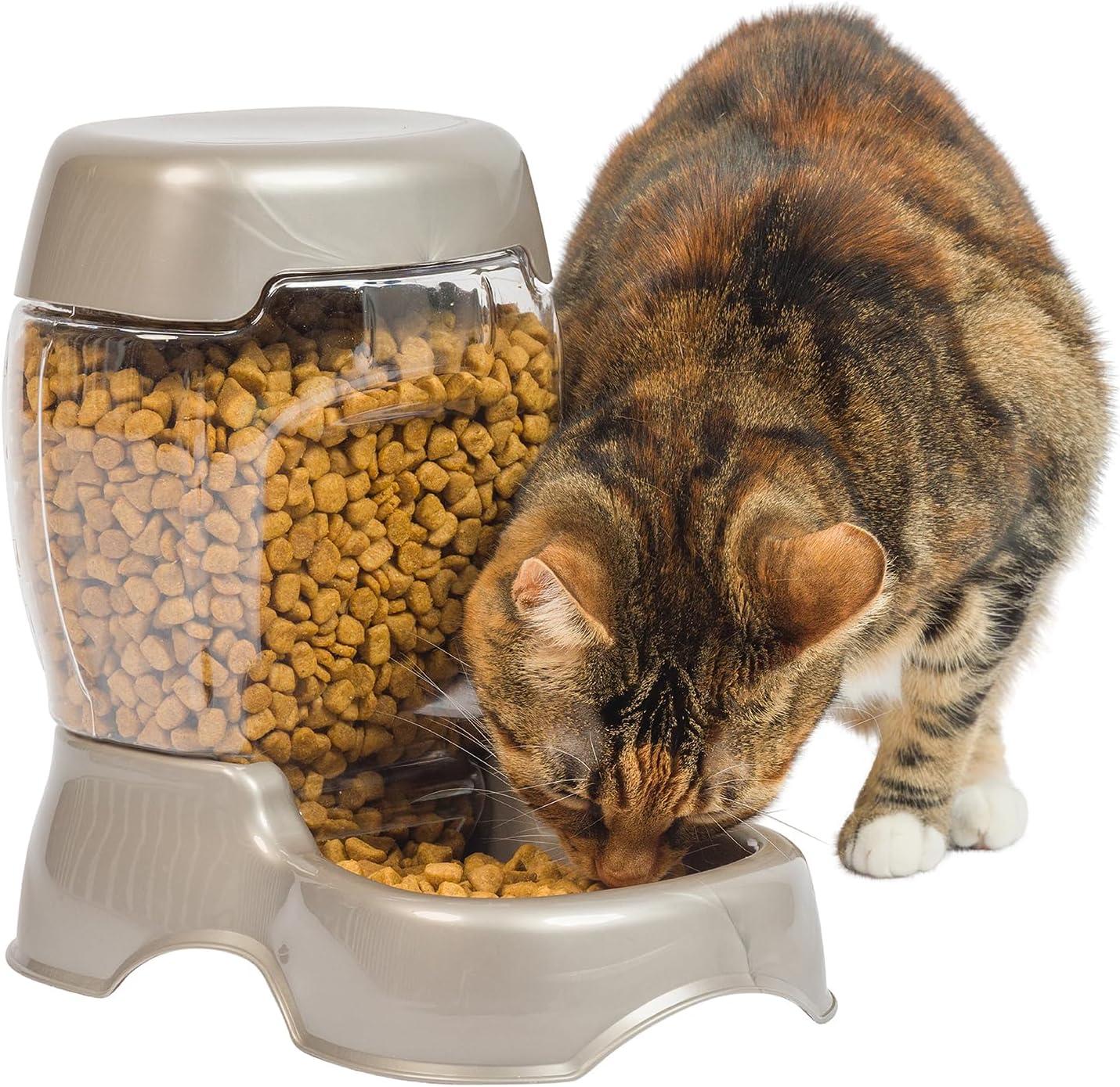Petmate Pet Cafe Feeder vs. Competitors: Surprising Color & Size Tested for Pet Parents' Convenience
