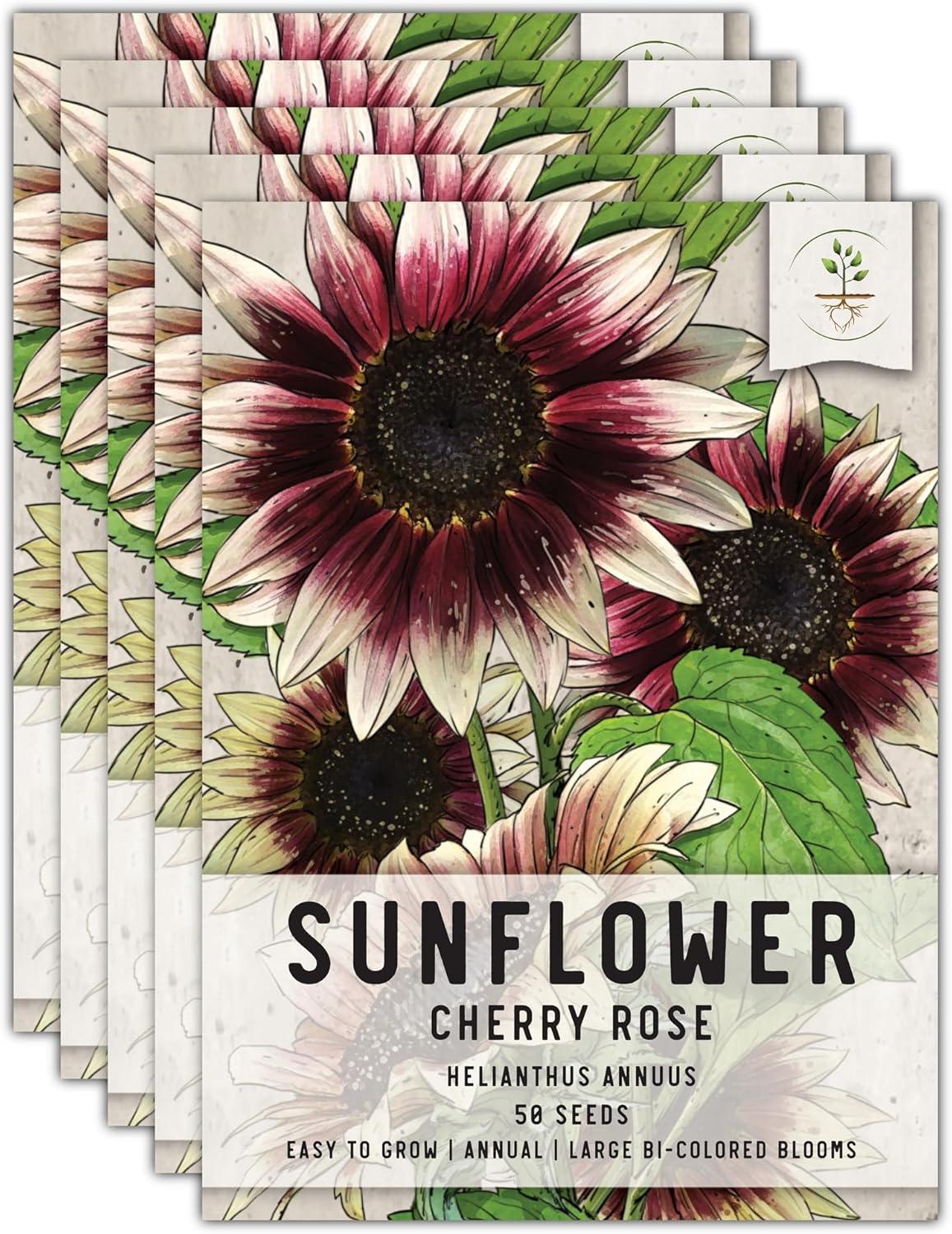 Bi-Color Sunflowers Tested: Outdoors Beauty vs. Cut Flower Versatility (5 Packs)
