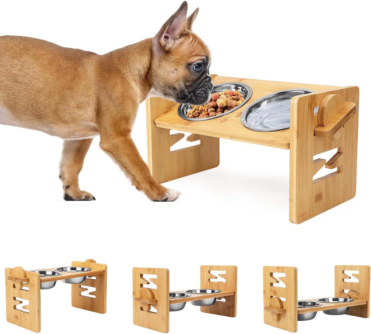 Raised Bowls, Tilt Adjustments, Slanted Bamboo, & Flat-Faced: Surprising Pet Feeding Showdown