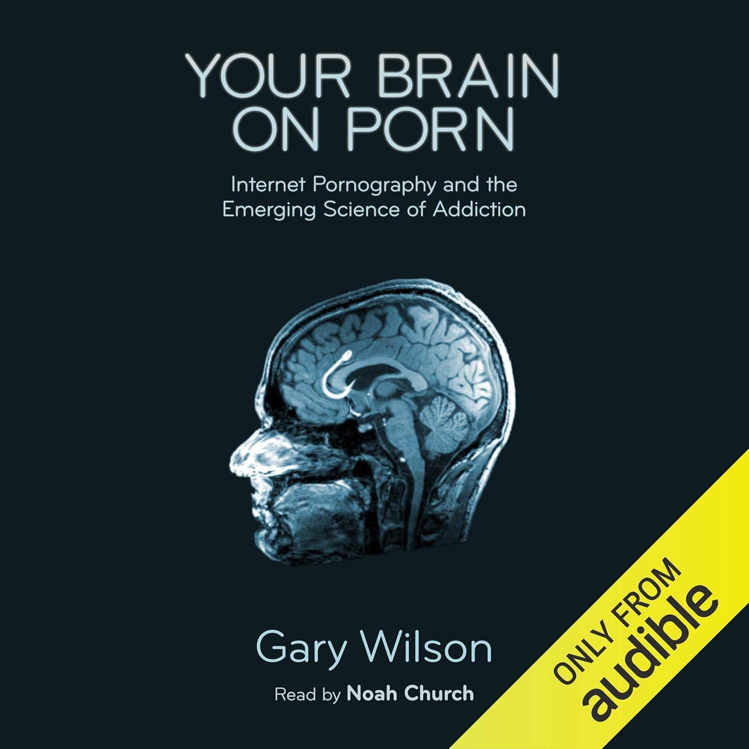 Surprising Science of Internet Porn Tested vs. Addictive Brain
