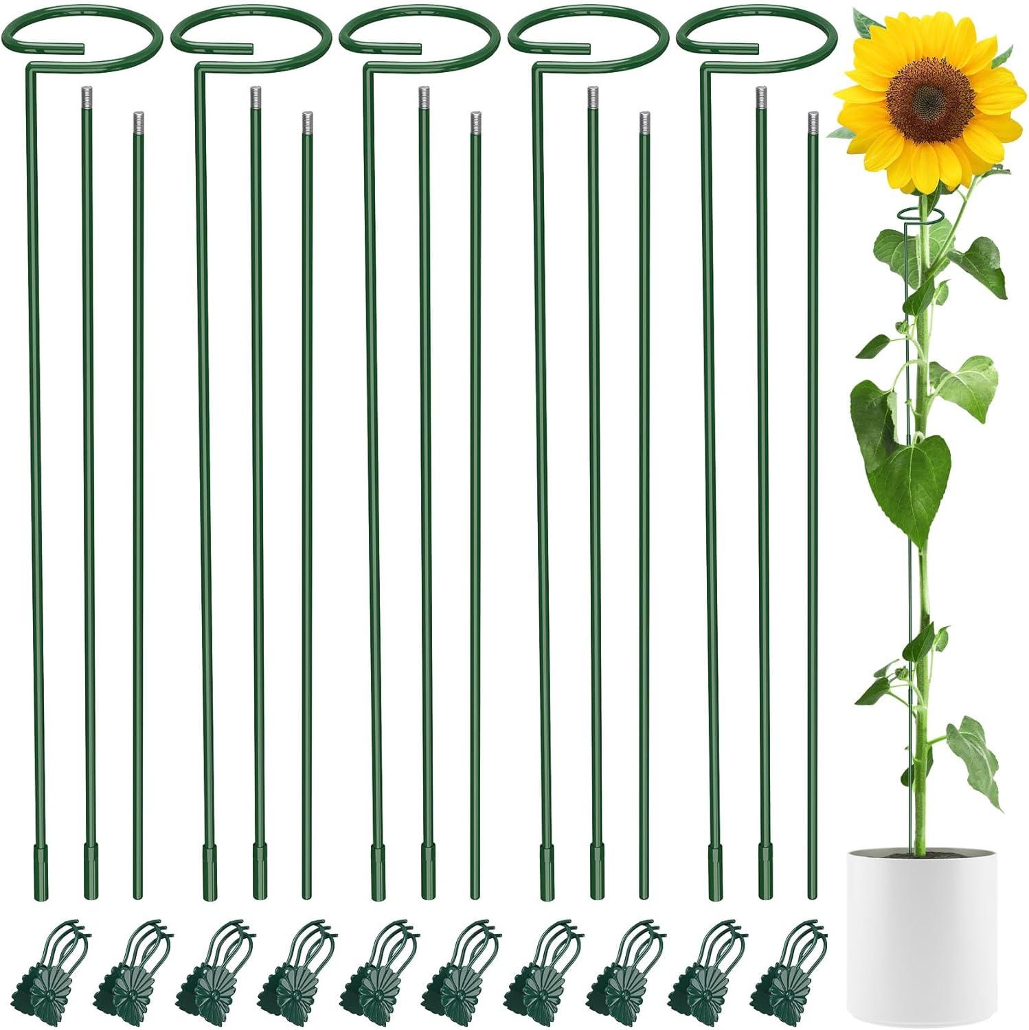 Showdown: 36-Inch Stakes, 5-Pack, Indoor-Outdoor Use, Three Sizes Tested