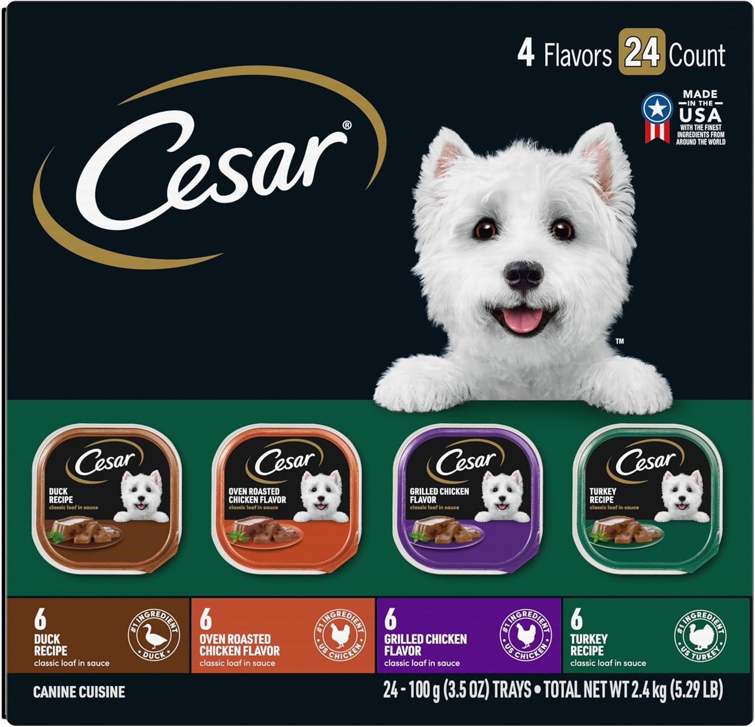 Surprising Insight: High-Protein Wet Dog Food with Real Beef and Gravy