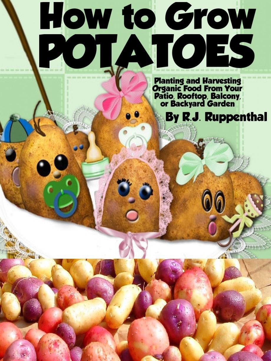 Potato Grow Bags Tested: Surprising Efficiency for Small Spaces
