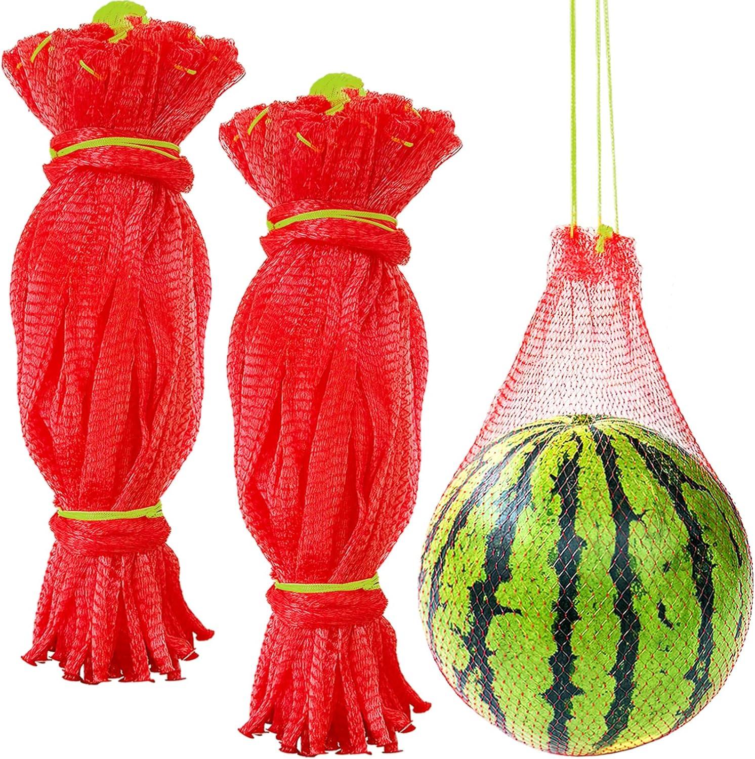 Surprising Neutral Flavor: Watermelon Seed Protein for On-The-Go Nutrition