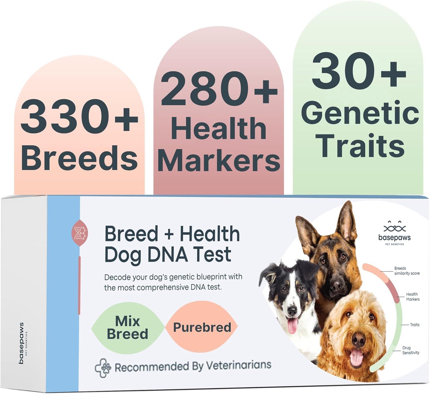Surprising Insight: Basepaws Pet DNA Test Kit Finds 300+ Breeds, 280+ Health Risks, and 30+ Traits