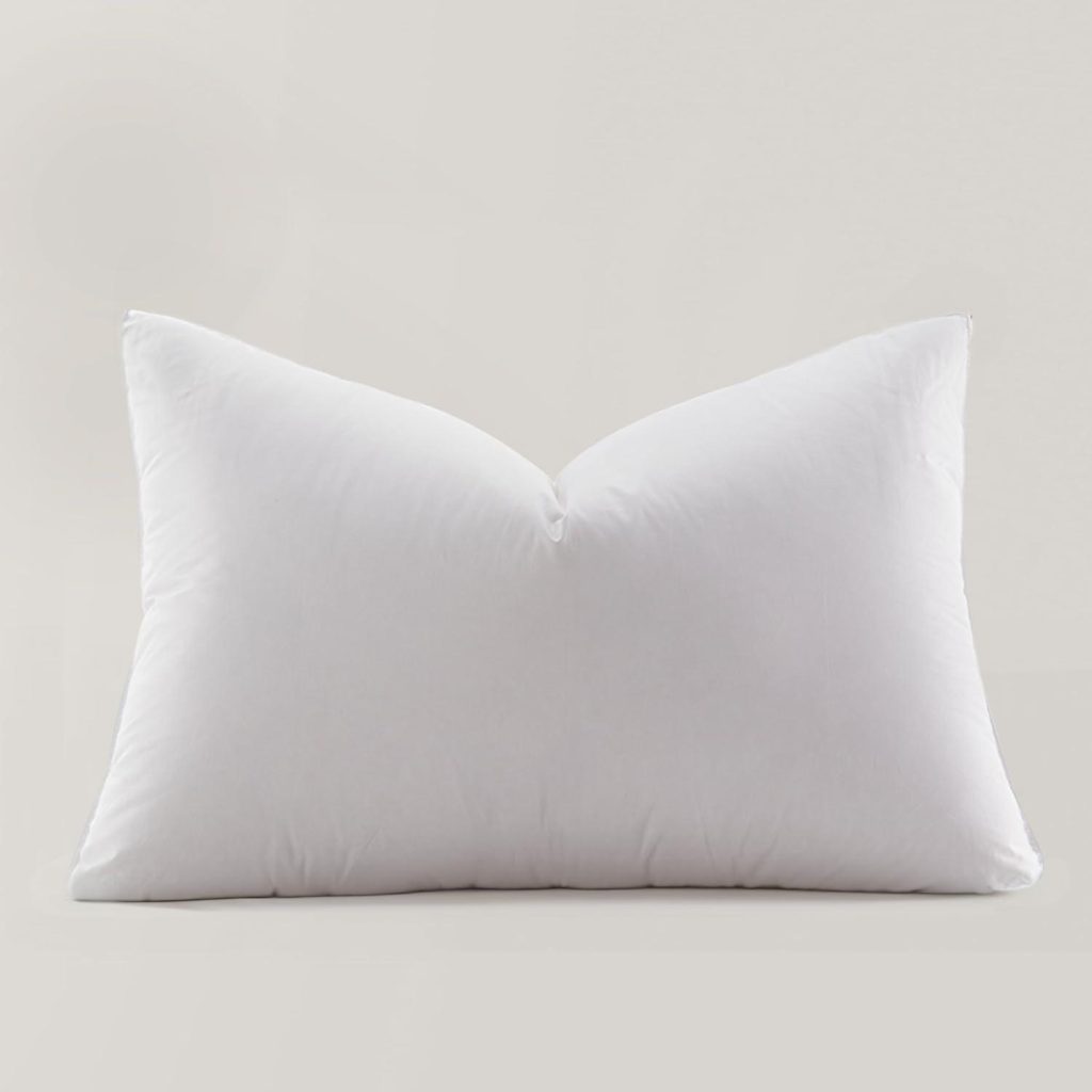 Best Down Pillow – Globon Ultra Soft Queen Size Pillow Review