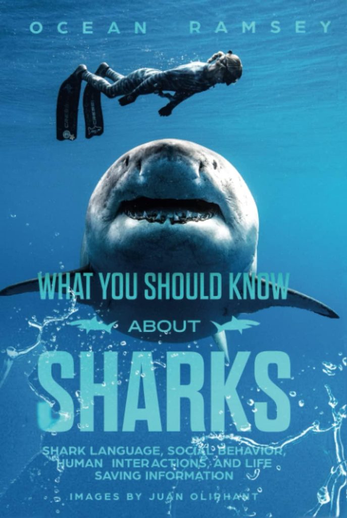 Best Marine Life – WHAT YOU SHOULD KNOW ABOUT SHARKS Review
