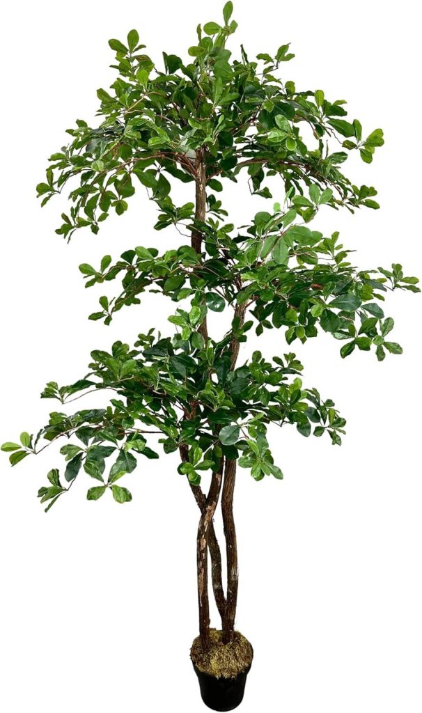 Best Home Decor – Cypress & Alabaster 6.5ft Black Olive Tree Review