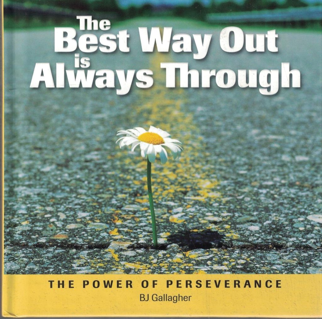 Best Inspirational Book – The Best Way Out is Always Through Review