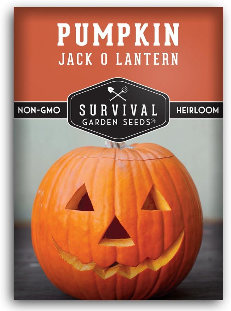 Best Pumpkin Seeds – Jack O’ Lantern Pumpkin Seeds for Planting Review