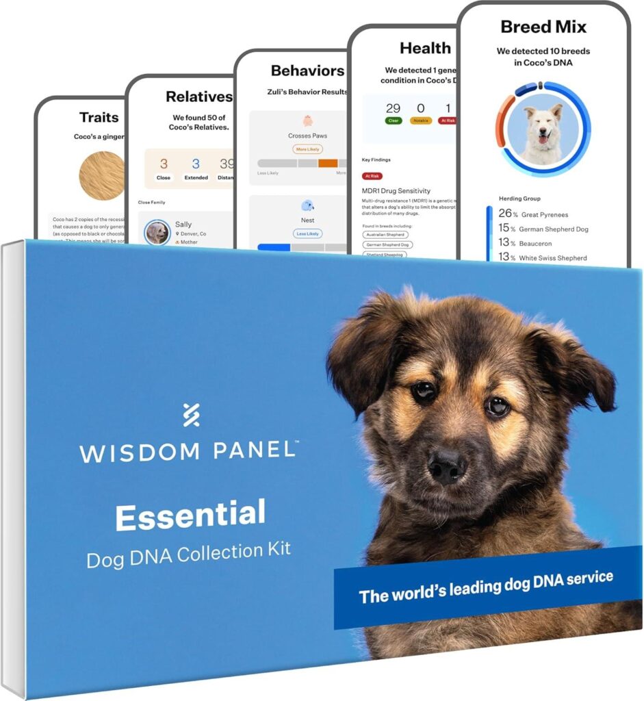 Best Dog DNA Test – Wisdom Health Essential Dog DNA Kit Review