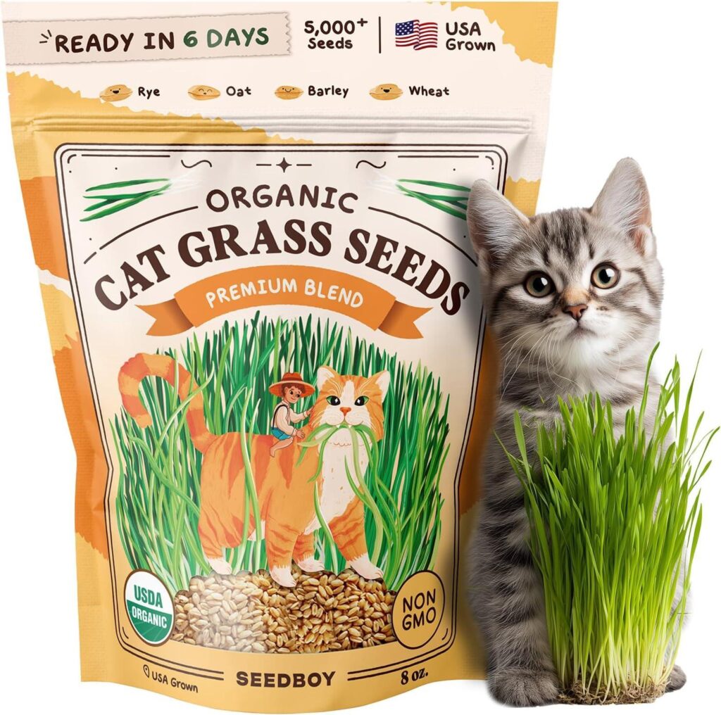 Best Cat Grass – Seedboy Organic Cat Grass Seeds for Indoor Cats Review