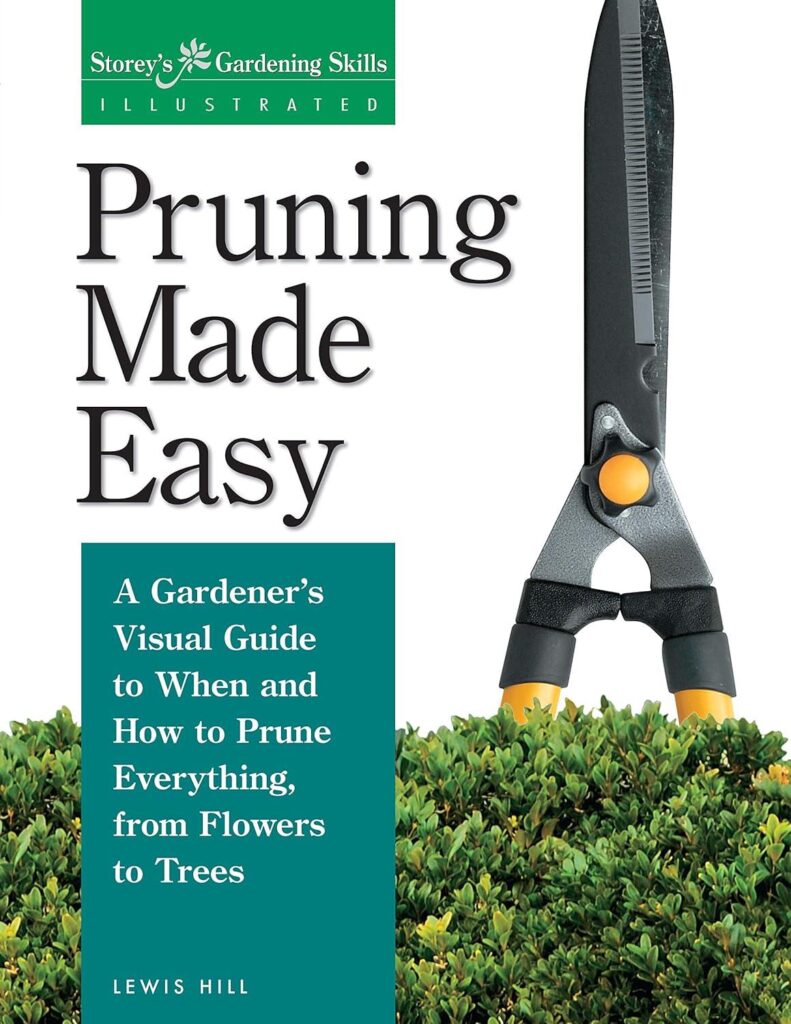 Best Gardening Guide – Pruning Made Easy: A Visual Review