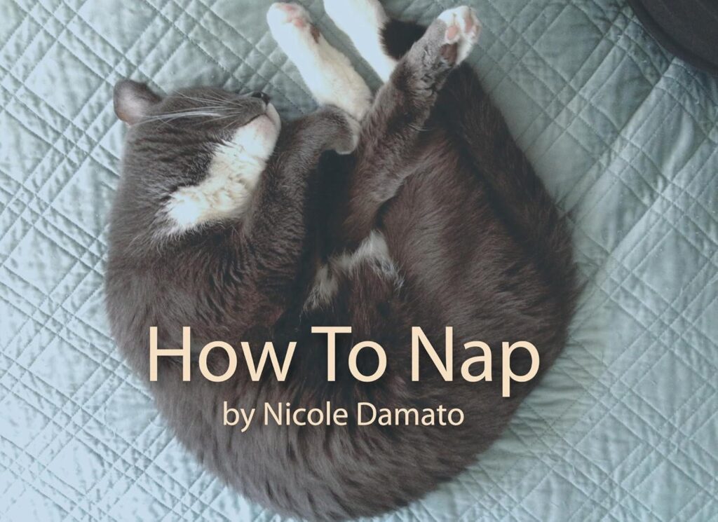Best Self-Help Book – How To Nap Review
