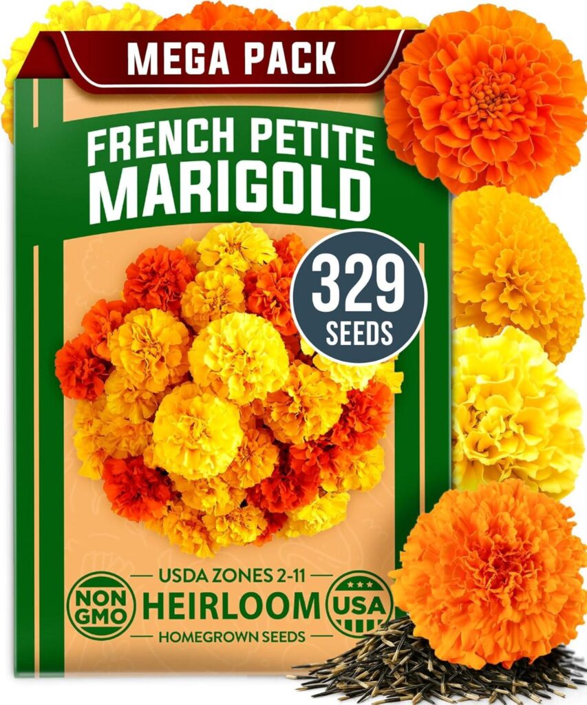 Best Garden Seeds – HOME GROWN Petite French Marigold Seeds Review