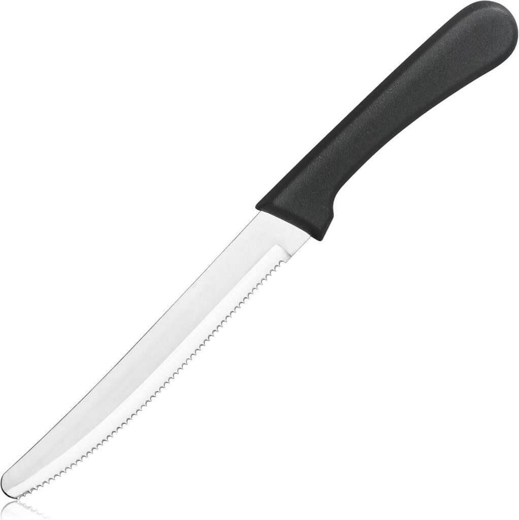 Best Steak Knife Set – New Star Foodservice Stainless Steel Knife Review