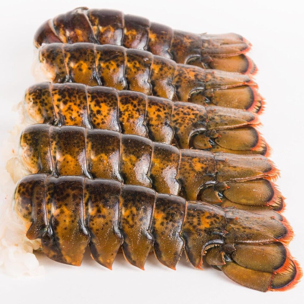 Best Seafood – Today Gourmet Foods of NC Lobster Tails Review