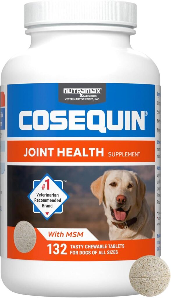 Best Joint Health Supplement – Nutramax Cosequin for Dogs Review