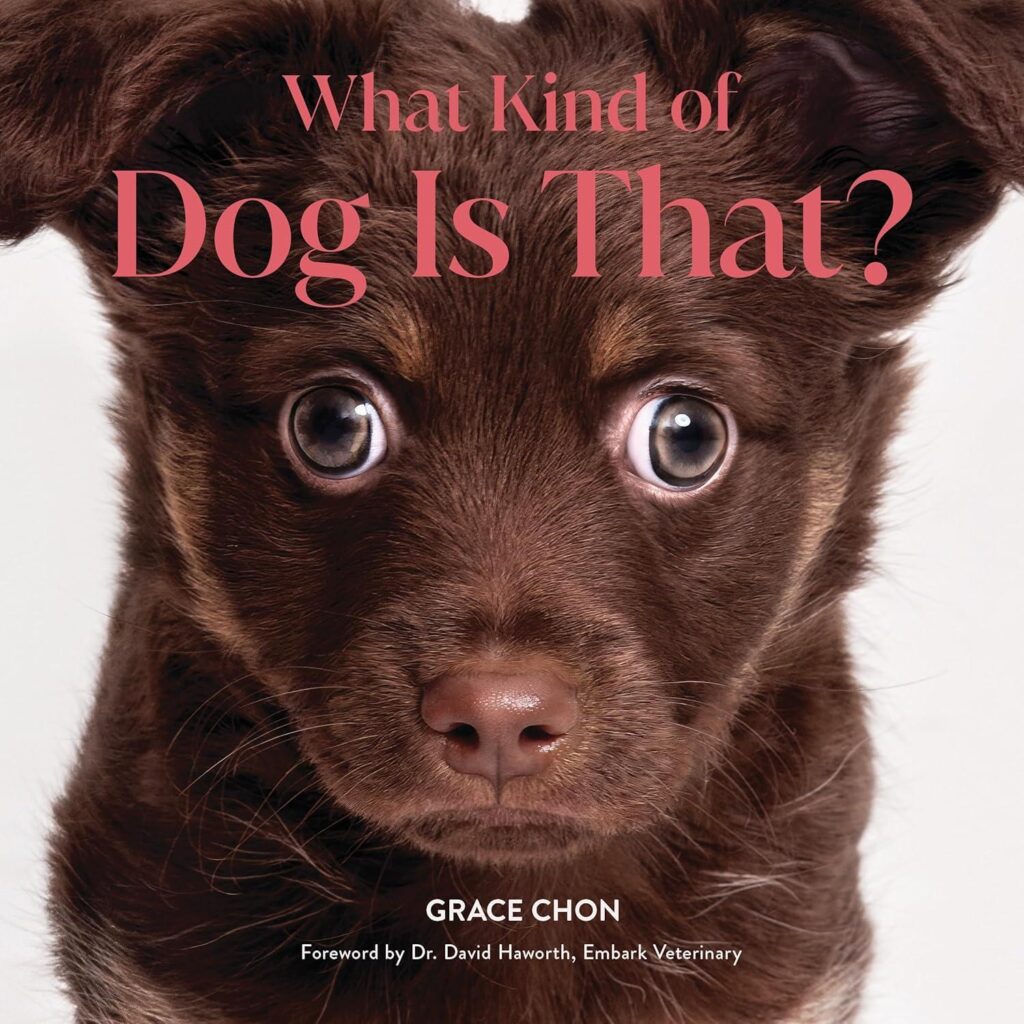 Best Dog Breed Guide – What Kind of Dog Is That? Review