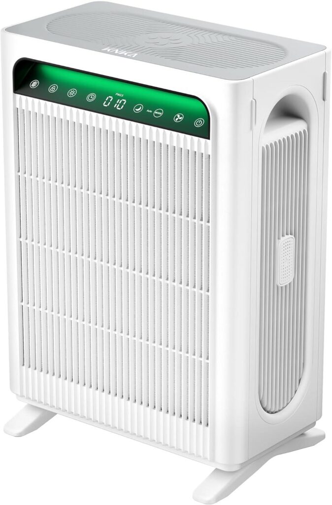 Best HEPA Air Purifier – KNKA for Home Bedroom Review