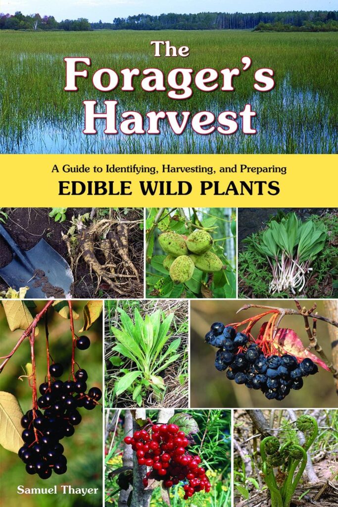 Best Foraging Guide – The Forager’s Harvest Review