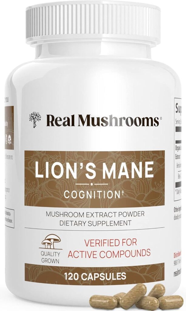 Best Brain Supplement – Lions Mane Mushroom Cognition Review